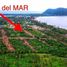  Land for sale in Petatlan, Guerrero, Petatlan