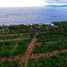  Land for sale in Petatlan, Guerrero, Petatlan