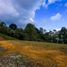  Land for sale in Retiro, Antioquia, Retiro