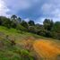  Land for sale in Retiro, Antioquia, Retiro