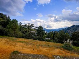  Land for sale in Retiro, Antioquia, Retiro