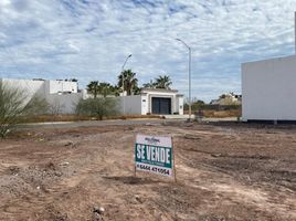  Grundstück zu verkaufen in Cajeme, Sonora, Cajeme