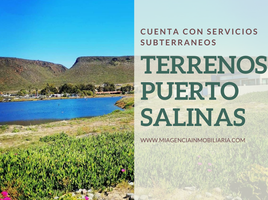  Terreno (Parcela) en venta en Tomas De Berlanga (Santo Tomas), Galápagos, Tomas De Berlanga (Santo Tomas), Isabela, Galápagos