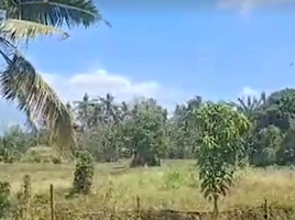  Land for sale in San Pablo City, Laguna, San Pablo City