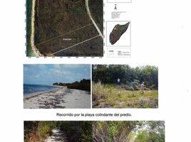  Terreno (Parcela) en venta en Cozumel, Quintana Roo, Cozumel