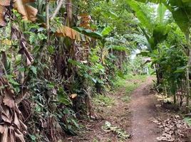  Land for sale in Alfonso, Calabarzon, Alfonso