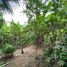  Land for sale in Alfonso, Calabarzon, Alfonso