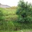  Land for sale in Ruminahui, Pichincha, Sangolqui, Ruminahui