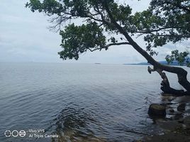  Grundstück zu verkaufen in Palawan, Mimaropa, Quezon