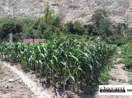  Terreno (Parcela) en venta en Lunahuana, Cañete, Lunahuana