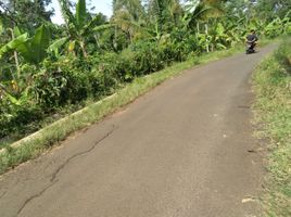  Land for sale in Pandeglang, Banten, Cadassari, Pandeglang