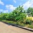  Terreno (Parcela) en venta en Cebu City, Central Visayas, Cebu City