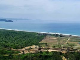  Terreno (Parcela) en venta en Jipijapa, Manabi, Puerto De Cayo, Jipijapa