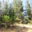  Terreno (Parcela) en venta en Chile, Maule, Talca, Maule, Chile