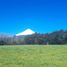  Land for sale in Chile, Osorno, Osorno, Los Lagos, Chile