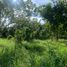  Land for sale in Silang, Cavite, Silang