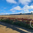  Terrain for sale in Llanquihue, Los Lagos, Los Muermos, Llanquihue