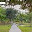 在Mococha, Yucatan出售的 土地, Mococha