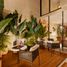 1 Habitación Apartamento en venta en Cozumel, Quintana Roo, Cozumel, Quintana Roo