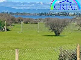  Terreno (Parcela) en venta en Chile, La Estrella, Cardenal Caro, Libertador General Bernardo O'Higgins, Chile