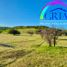  Terreno (Parcela) en venta en Chile, La Estrella, Cardenal Caro, Libertador General Bernardo O'Higgins, Chile