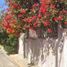 Villa 2 chambre à vendre à Atizapan De Zaragoza, Mexico, Atizapan De Zaragoza