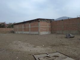  Grundstück zu verkaufen in Puente Piedra, Lima, Puente Piedra, Lima, Lima, Peru