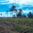  Land for sale in Gitagum, Northern Mindanao, Gitagum