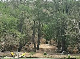 在Gonzalez, Tamaulipas出售的 土地, Gonzalez