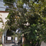 3 Habitación Departamento en venta en Cuernavaca, Morelos, Cuernavaca