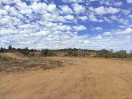  Land for sale in Chile, Litueche, Cardenal Caro, Libertador General Bernardo Ohiggins, Chile