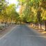  Land for sale in Chile, Calle Larga, Los Andes, Valparaiso, Chile