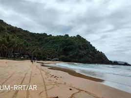  Land for sale in El Nido, Palawan, El Nido