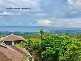  Land for sale in Balamban, Cebu, Balamban