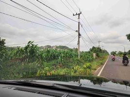  Land for sale in Gresik, East Jawa, Ujung Pangkah, Gresik