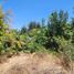  Land for sale in Valparaiso, Quilpue, Valparaiso, Valparaiso