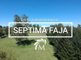  Land for sale in Araucania, Villarrica, Cautin, Araucania