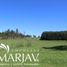  Land for sale in Araucania, Villarrica, Cautin, Araucania