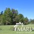  Land for sale in Araucania, Villarrica, Cautin, Araucania