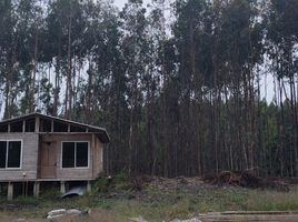  Land for sale in Chile, Ancud, Chiloe, Los Lagos, Chile
