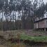  Land for sale in Chile, Ancud, Chiloe, Los Lagos, Chile