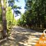  Land for sale in Araucania, Villarrica, Cautin, Araucania