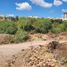  Land for sale in San Luis Potosi, San Luis Potosi, San Luis Potosi, San Luis Potosi