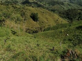  Villa en venta en San Roque, Antioquia, San Roque