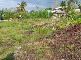  Land for sale in Moalboal, Cebu, Moalboal