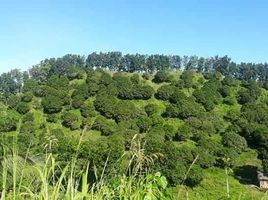  Terrain for sale in Mahaplag, Leyte, Mahaplag