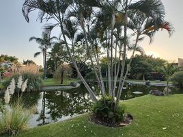  Grundstück zu verkaufen in Cuernavaca, Morelos, Cuernavaca