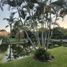 Land for sale in Cuernavaca, Morelos, Cuernavaca