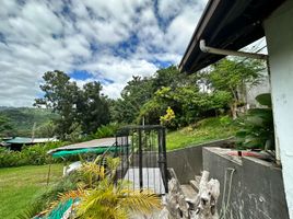  Land for sale in Cebu City, Cebu, Cebu City