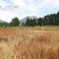  Terreno (Parcela) en venta en San Felipe de Aconcagua, Valparaíso, Llaillay, San Felipe de Aconcagua